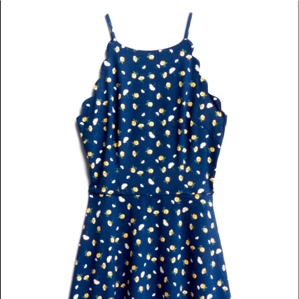 FORTUNE & IVY so soft dress
